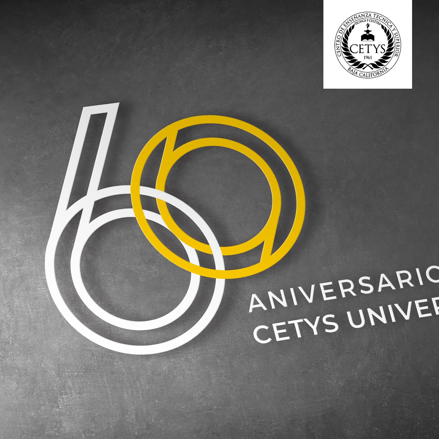 Logo 60 Aniversario - Lavint Branding